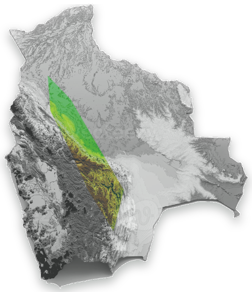 Mapa de Bolivia con los Yungas resaltados.